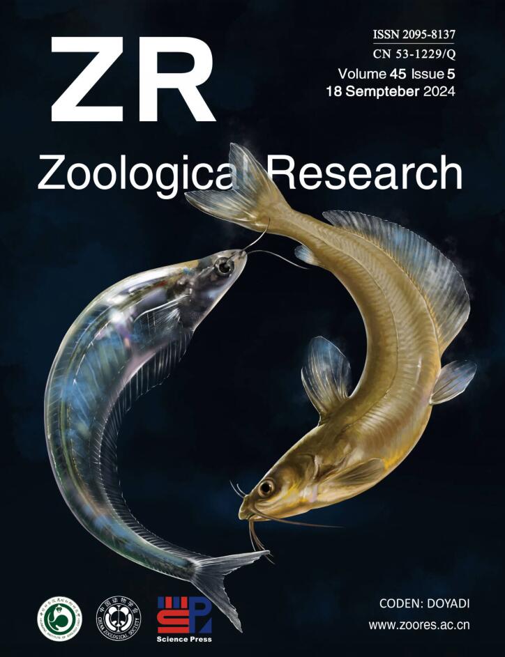 Chromosome-level genome assembly of the glass catfish