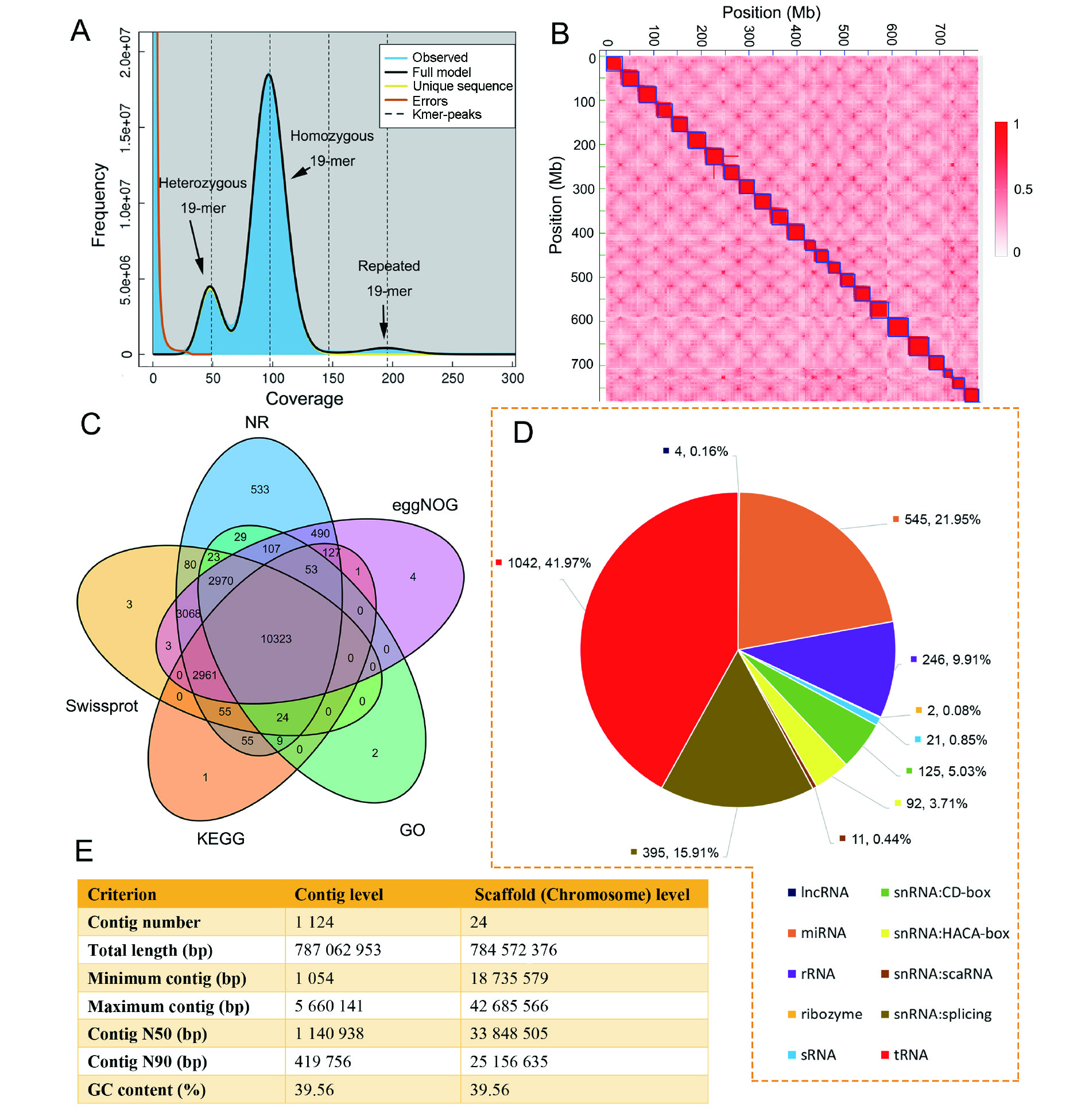 mee※ Whole-genome sequencing of leopard coral grouper